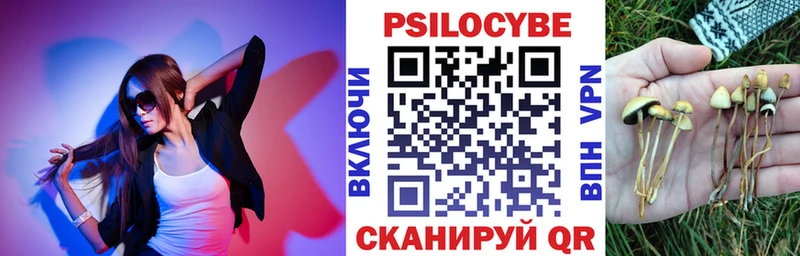 Галлюциногенные грибы Psilocybe  shop официальный сайт  Георгиевск 