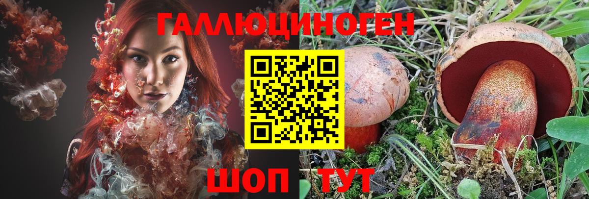 Георгиевск  Галлюциногенные грибы Cubensis  Галлюциногенные грибы мицелий  Вход с VPN 